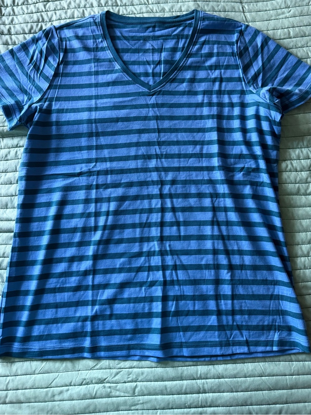 Woolx Junie Blue Striped V-Neck Short Sleeve Tee